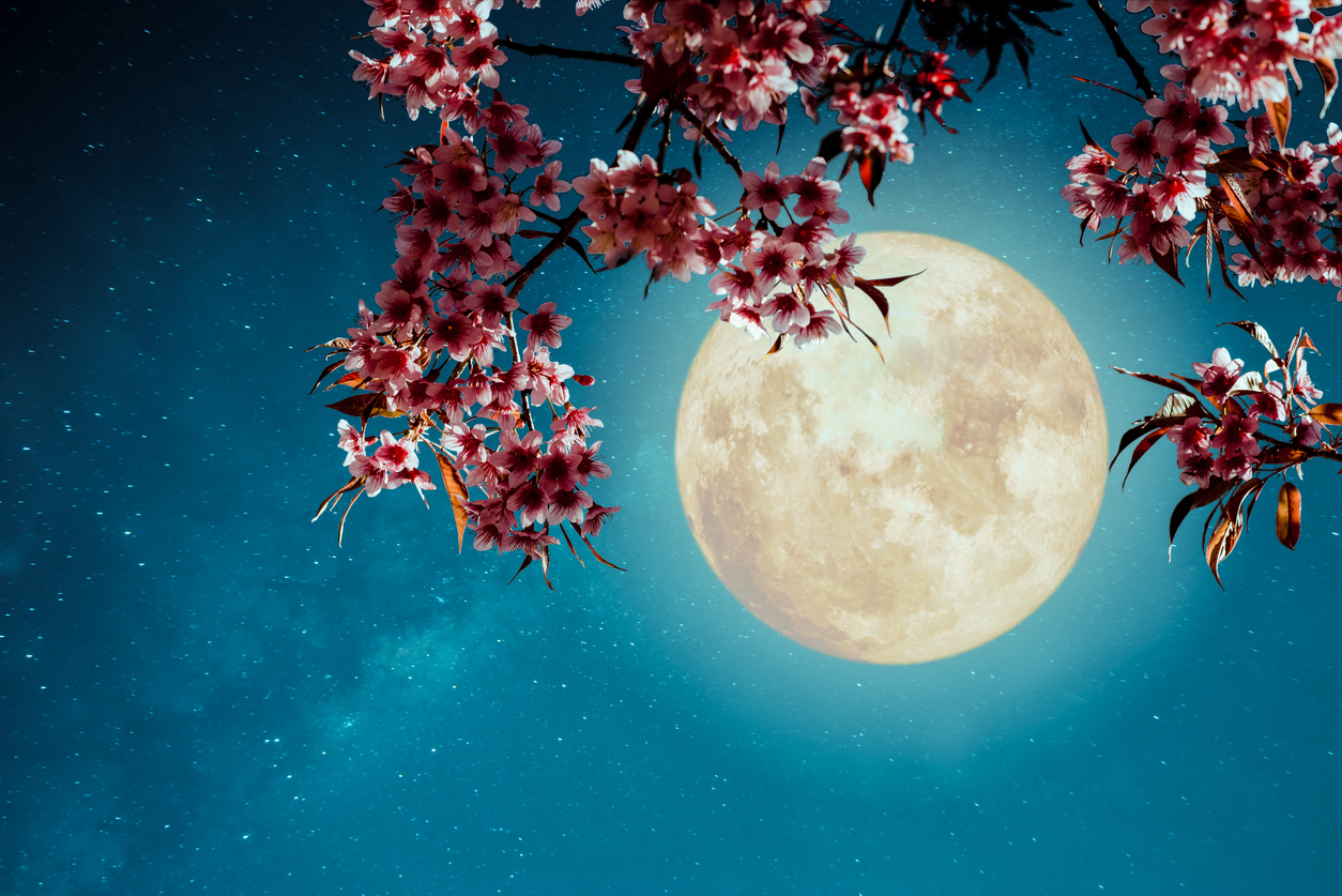 Spring Full Moon