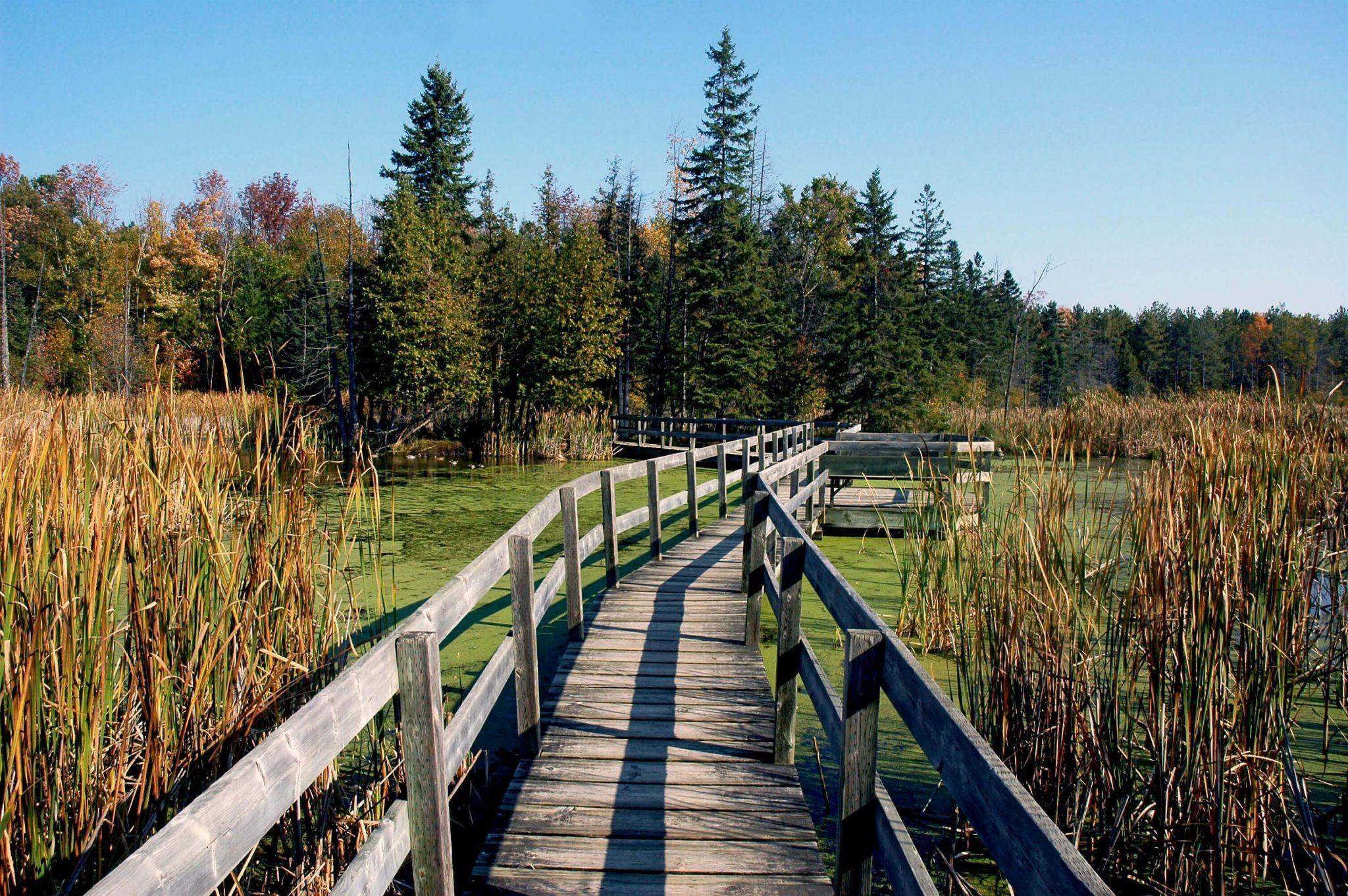 Hike + Feed the Birds at Mer Bleue Bog