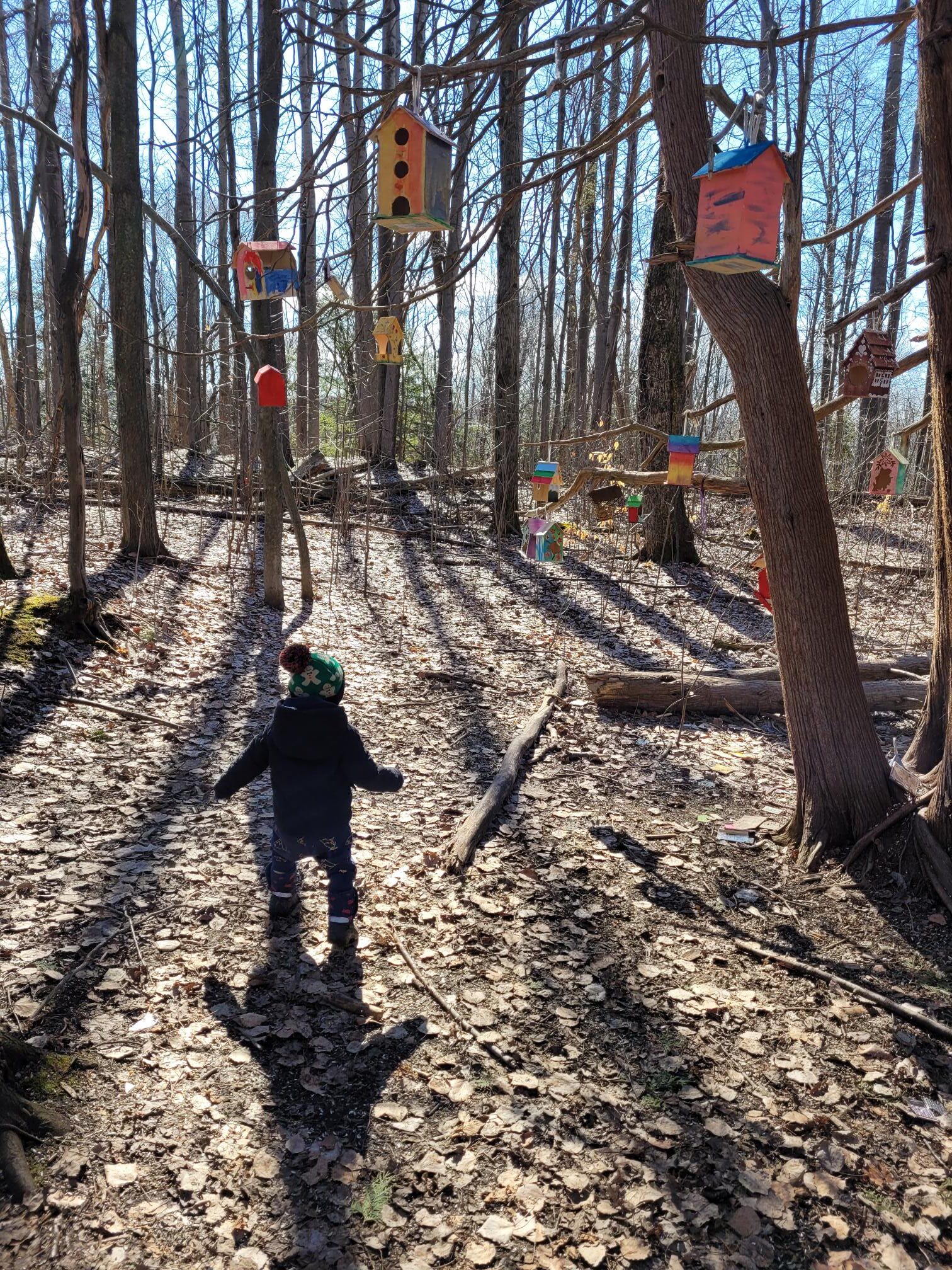 Nature Walk on the Bird Trail