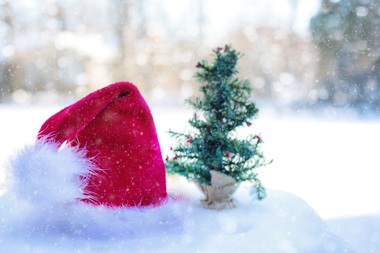 Santa's hat in the snow next to a small tree