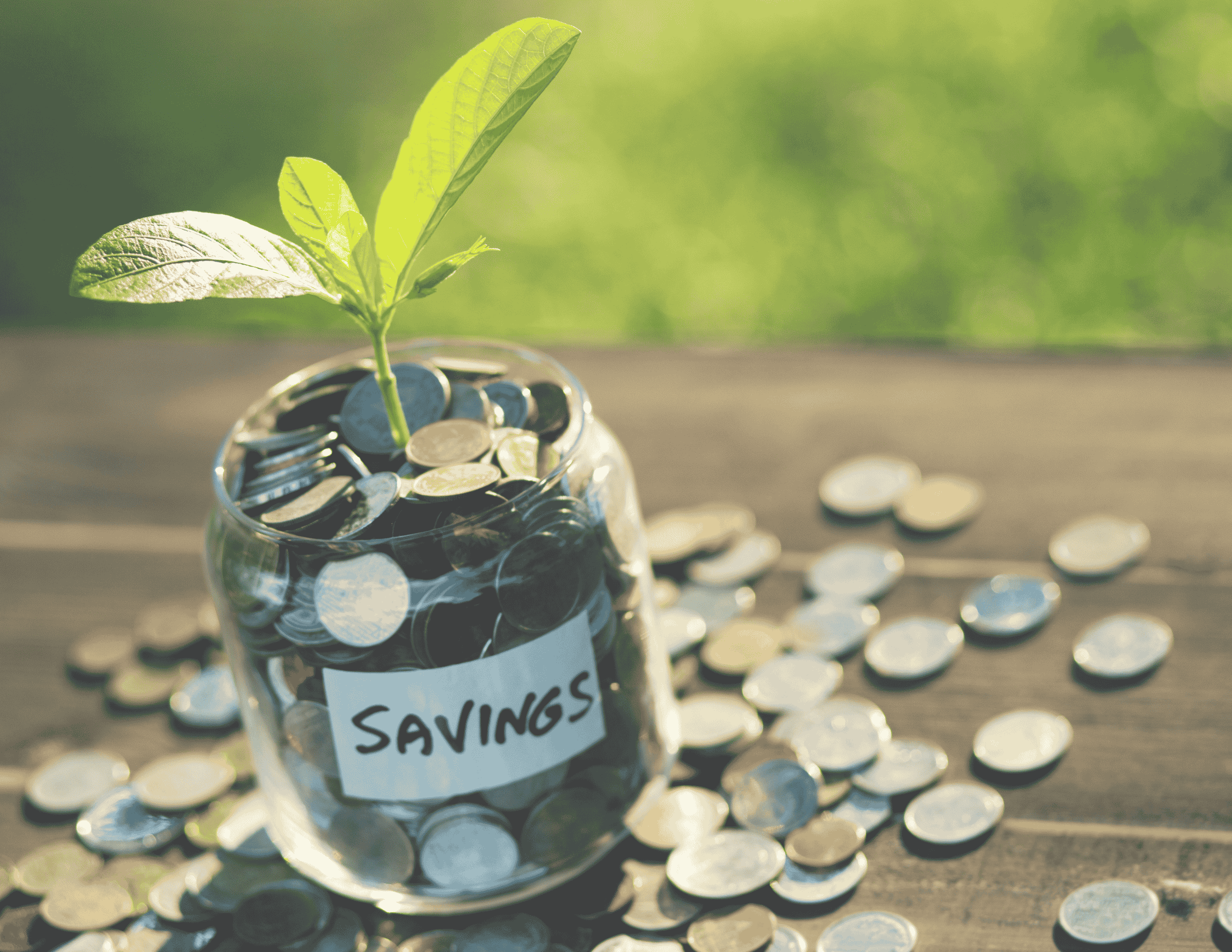 Savings jar with seedling