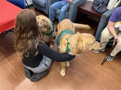 therapy dog with youth
