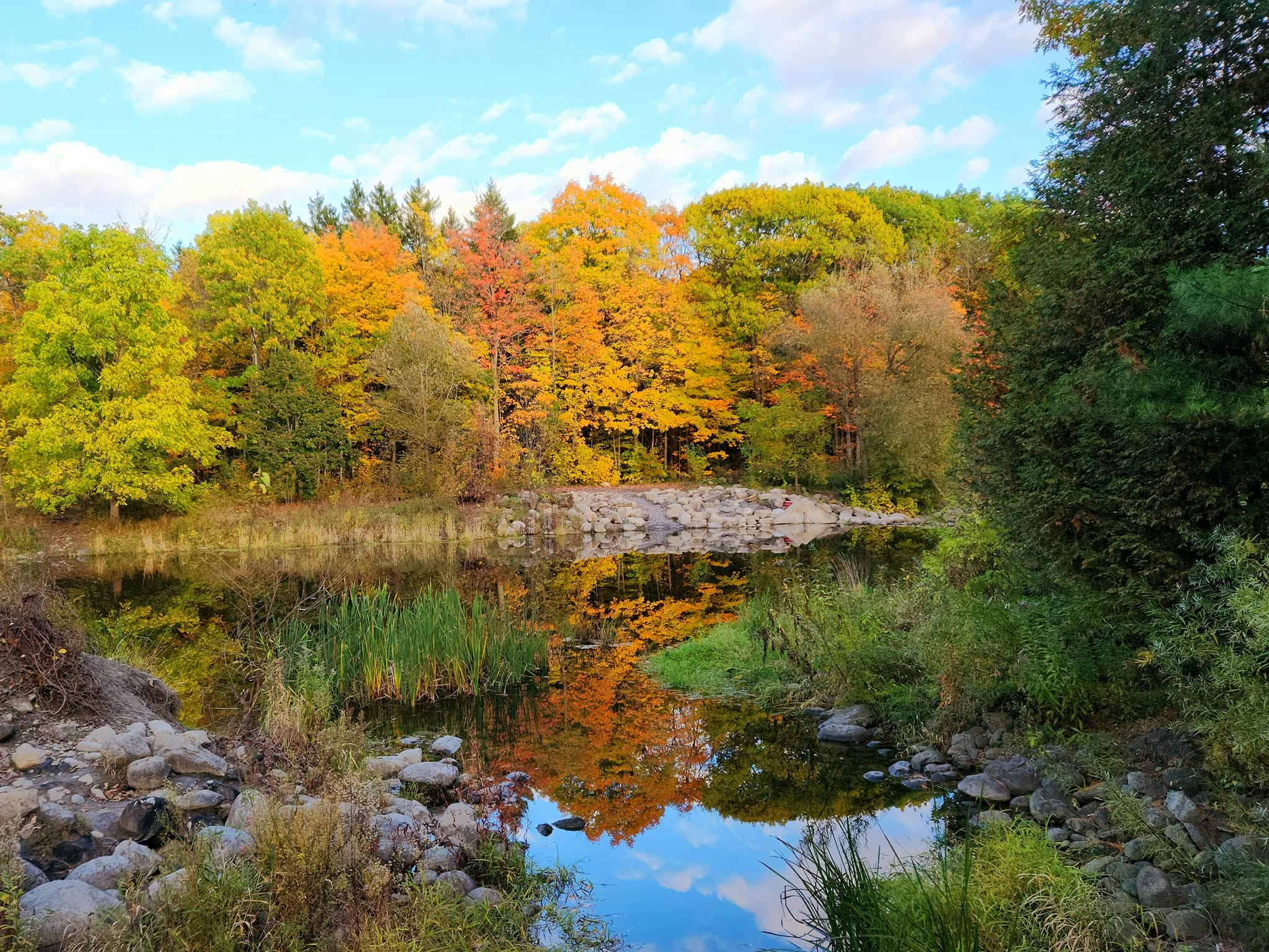 Fall colours with a stone bridge